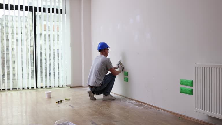 Best Wallpaper Removal and Painting  in Boulevard Gardens, FL