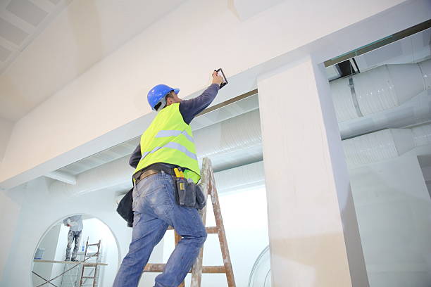 Best Ceiling Drywall Installation  in Boulevard Gardens, FL