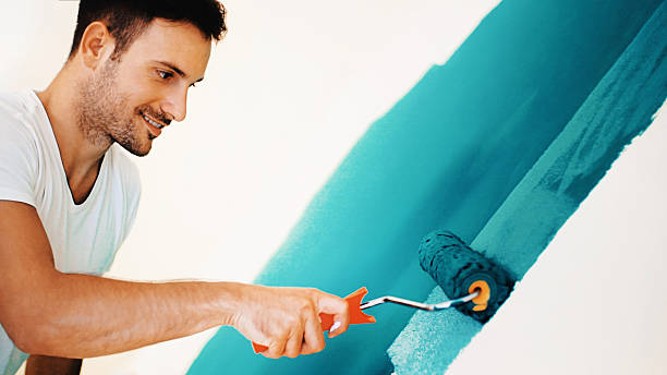 Best Drywall Sanding and Smoothing  in Boulevard Gardens, FL